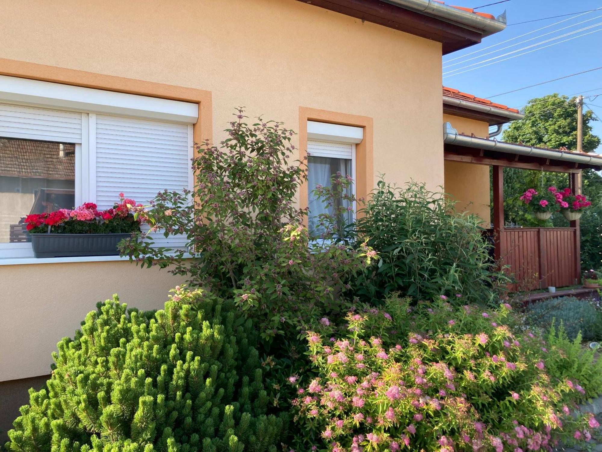 Levendula Apartmanhaz * Gyomaendrod